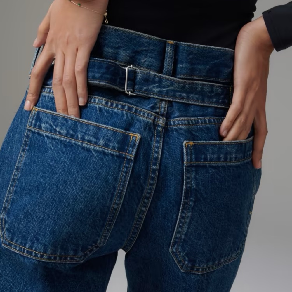 NWT Everlane Jeans (The Cinch Back Utility Jean) 28R